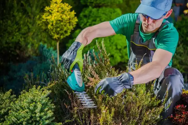 landscaping services Farmington Hills